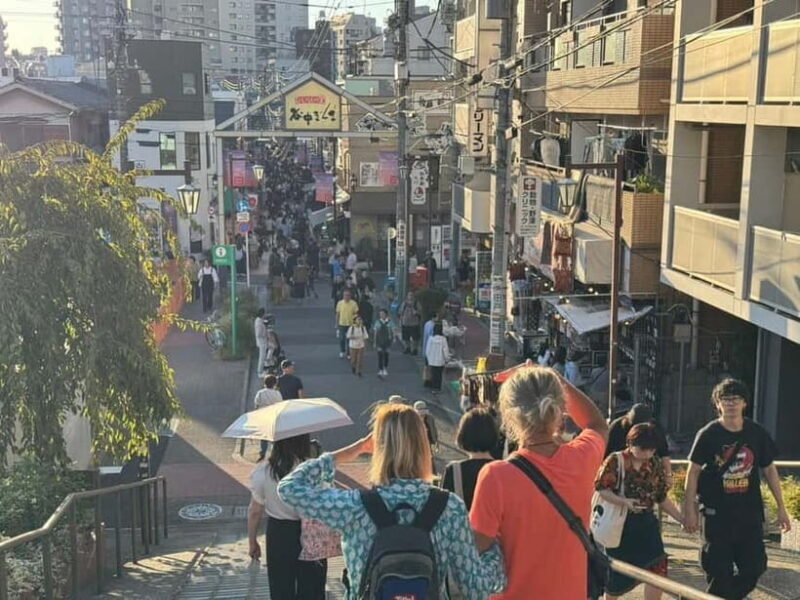 Private Tour : Old Tokyo Cultural Walk in Yanaka and Nezu - Final Thoughts: Who Will Love This Tour?