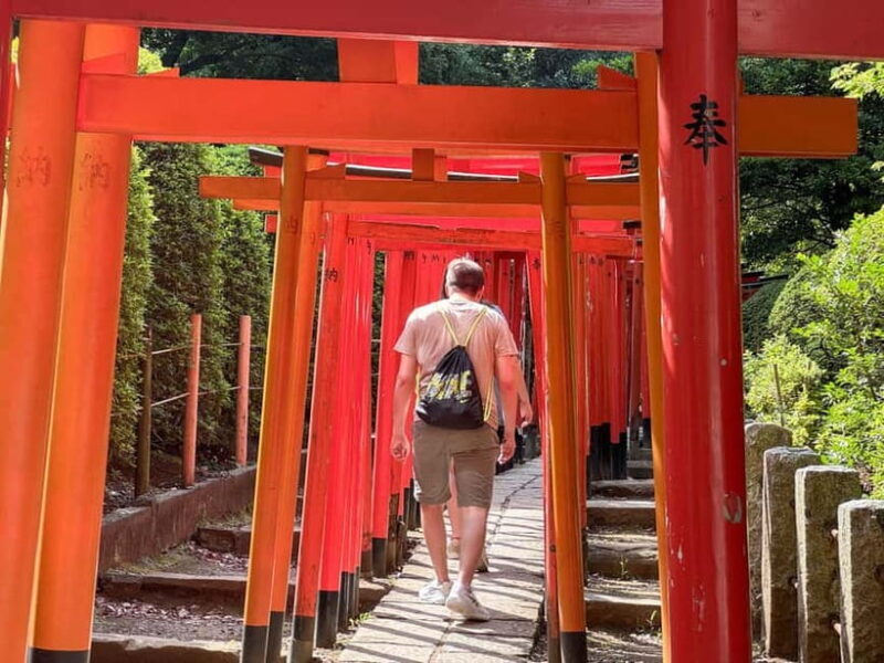 Private Tour : Old Tokyo Cultural Walk in Yanaka and Nezu - Frequently Asked Questions