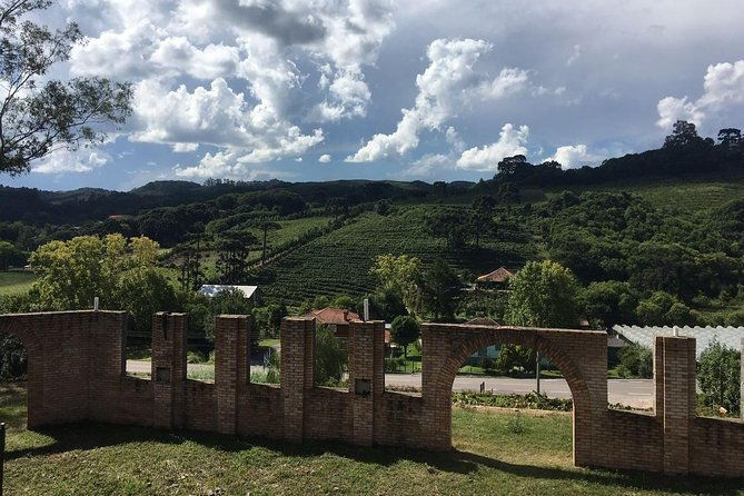 private-tour-on-caminhos-de-pedra-in-bento-goncalves-rs