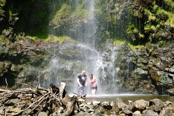 Private Tour on Maui with Luxury Mercedes S-Class - An In-Depth Look at the Experience