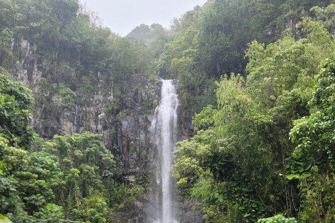 Private Tour on Maui with Luxury Mercedes S-Class - Who Should Book This Tour?