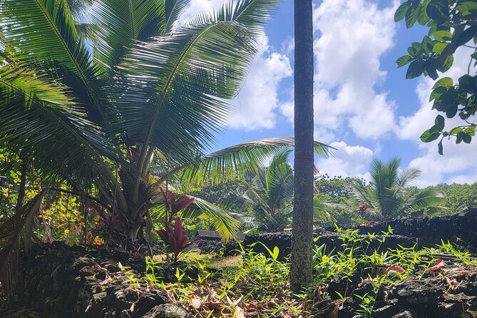 Private Tour on Maui with Luxury Mercedes S-Class - Final Thoughts