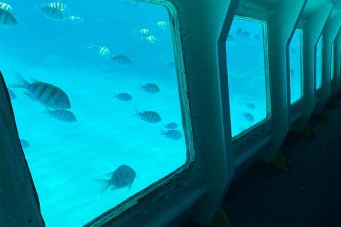 private-tour-on-roatan-with-a-professional-guide
