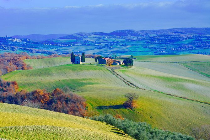 private-tour-orcia-valley-to-montalcino-and-montepulciano-with-brunello-wine-tasting-3