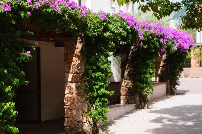 private-tour-paestum-mozzarella-bufala-guided-tour-and-lunch