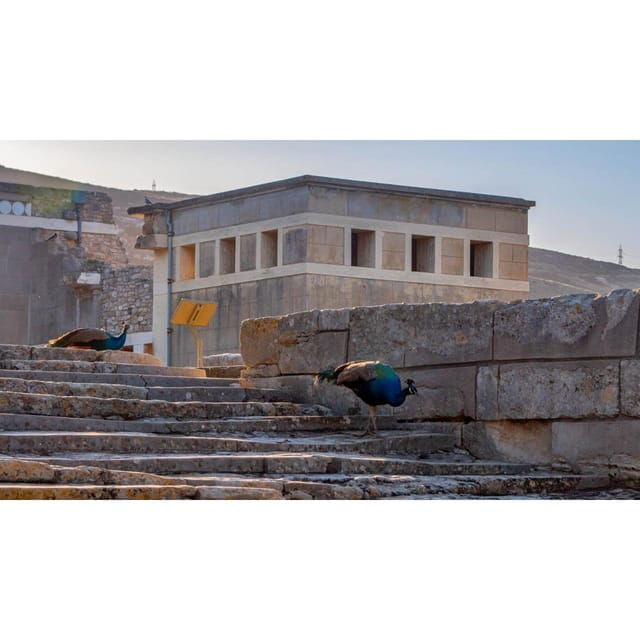 private-tour-palace-of-knossos