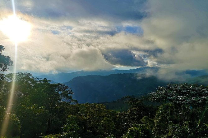 private-tour-paramo-de-santurban-nature