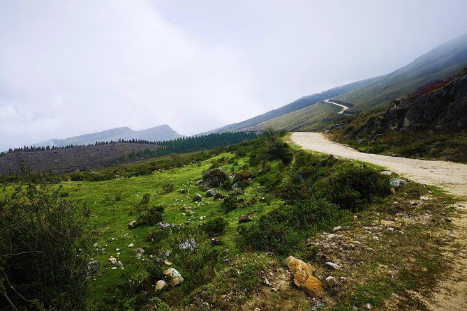 private-tour-paramo-de-santurban-nature
