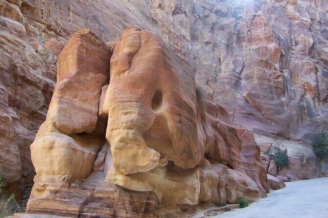 Private Tour: Petra and Wadi Rum Day Trip from Dead Sea - Introduction