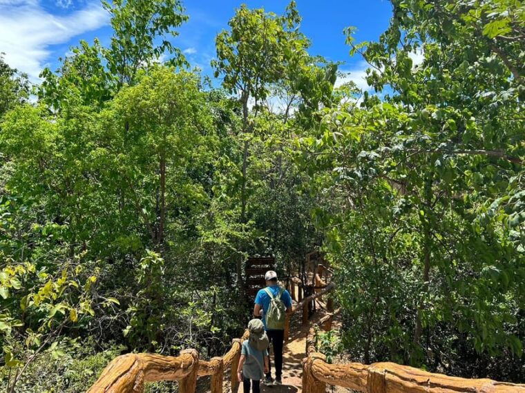 private-tour-pha-chor-canyon-doi-inthanon-national-park