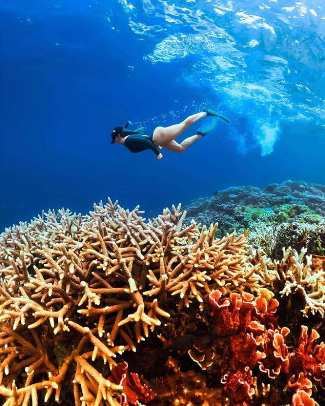 private-tour-pink-beach-lombok-gili-islands-sand-island