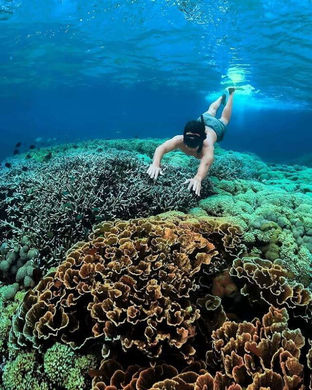 private-tour-pink-beach-lombok-gili-islands-sand-island