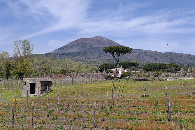 private-tour-pompeii-and-herculaneum