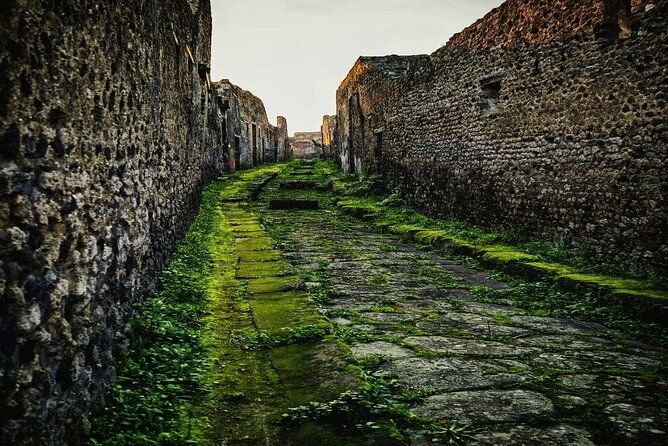 private-tour-pompeii-and-sorrento-from-naples-2