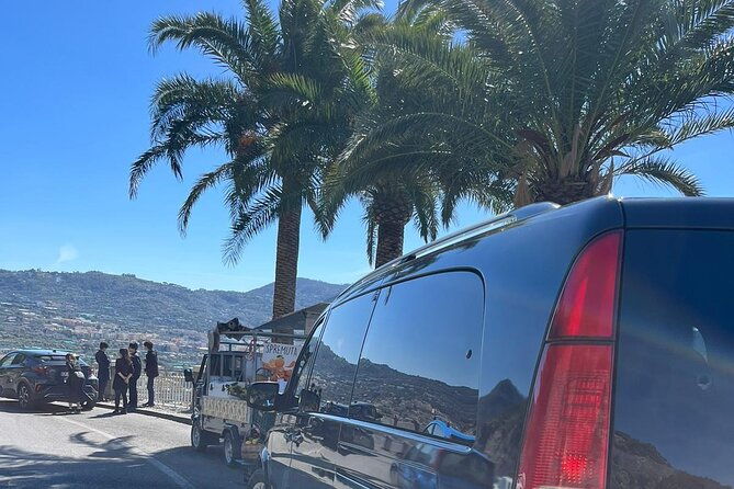 private-tour-pompeii-and-sorrento-from-naples-2