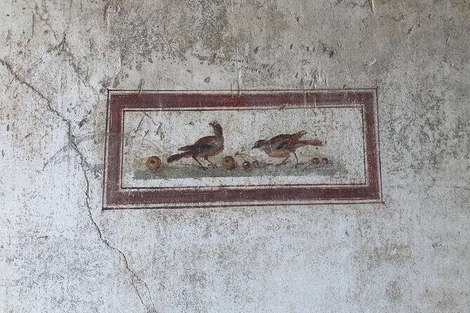 Private Tour: Pompeii plus Herculaneum with Family Tour Option - FAQ: Your Practical Questions Answered