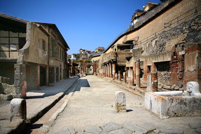 Private Tour: Pompeii plus Herculaneum with Family Tour Option - Final Thoughts