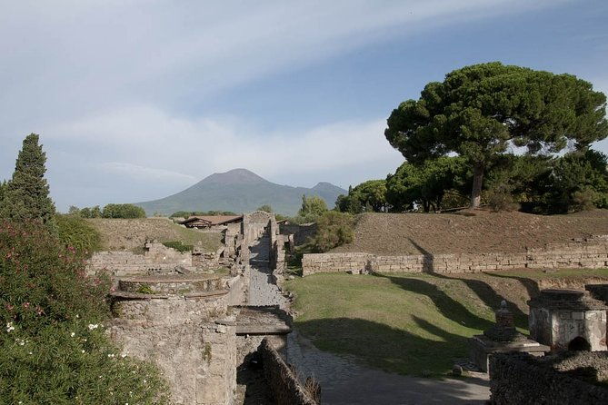 private-tour-pompeii-vesuvius-and-winery-from-sorrento