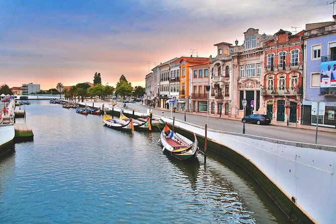 private-tour-porto-aveiro-private-tours