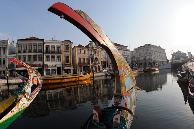 private-tour-porto-to-lisbon-visit-aveirocoimbrafatimaobidos