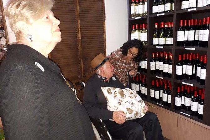 private-tour-pre-or-post-cruise-san-antonio-port-with-santiago-tour-and-winery