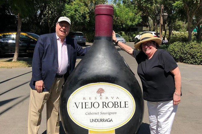 private-tour-pre-or-post-cruise-san-antonio-port-with-santiago-tour-and-winery