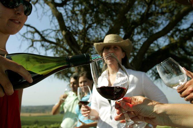 private-tour-pre-or-post-cruise-san-antonio-port-with-santiago-tour-and-winery