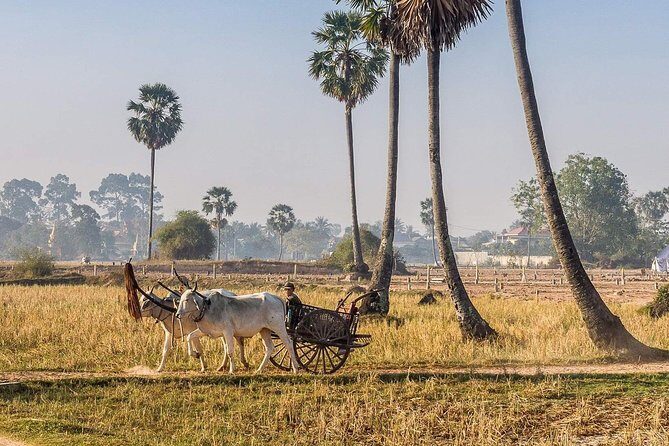 Private tour: Preah Khan Kompong Svay and Sambor Prei kuk Temples - Discovering Cambodia’s Lesser-Known Treasures: Preah Khan Kompong Svay and Sambor Prei Kuk