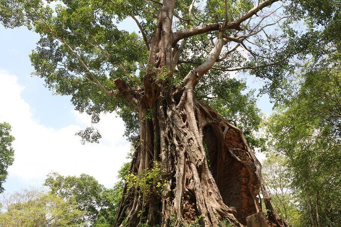 Private tour: Preah Khan Kompong Svay and Sambor Prei kuk Temples - Analyzing the Value