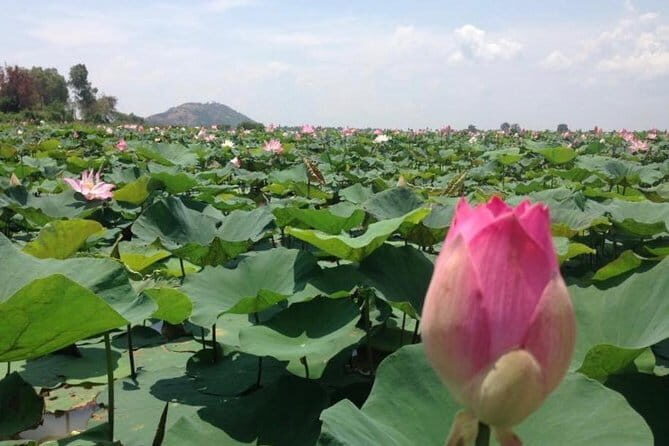 Private Tour Prek Toal Bird Sanctuary Off Beaten Track - What’s Included and What to Keep in Mind