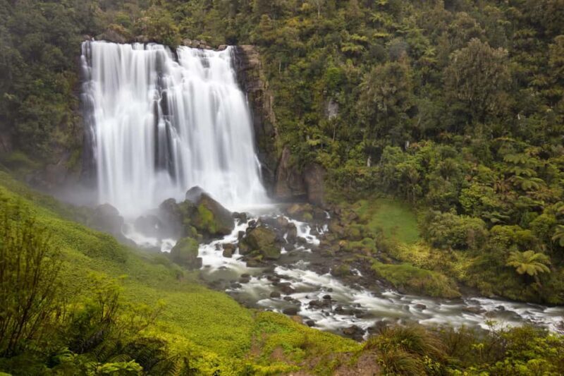 Private Tour: Private Tour: Waitomo Caves (Flexible) - Why Choose This Private Waitomo Caves Tour?