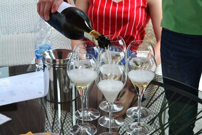 Private Tour: Prosecco Wine Tasting Day Trip with Lunch from Venice - A Fresh Look at the Private Prosecco Wine Tasting Day Trip from Venice