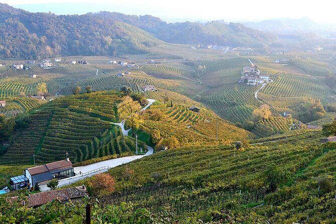 Private Tour: Prosecco Wine Tasting Day Trip with Lunch from Venice - Who Will Love This Tour?