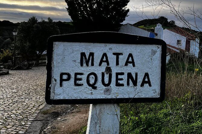 private-tour-queluz-palace-and-mafra-convent-c-pick-at-the-hotel