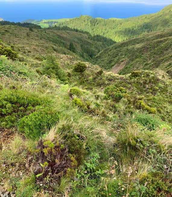 Private Tour Ribeira Grande: Salto do Cabrito Hike - Key Points