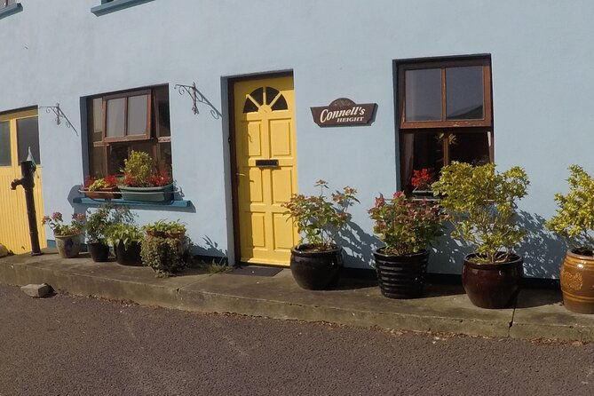 private-tour-ring-of-beara-from-kenmare