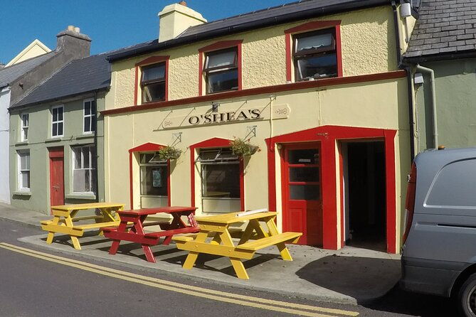private-tour-ring-of-beara-from-kenmare