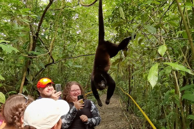 private-tour-rio-celeste-waterfalls-rainforest-sloth-encounter