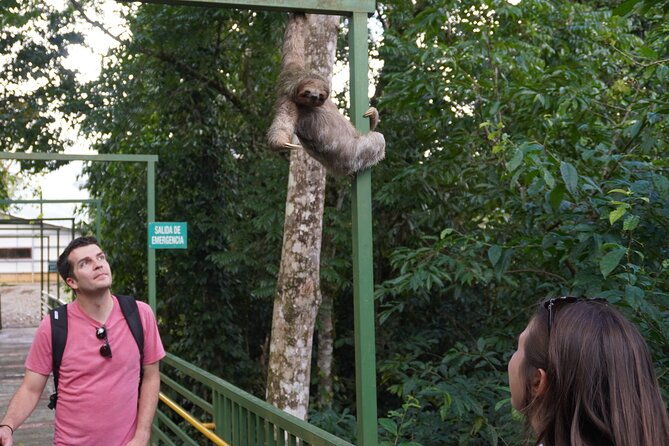 private-tour-rio-celeste-waterfalls-rainforest-sloth-encounter