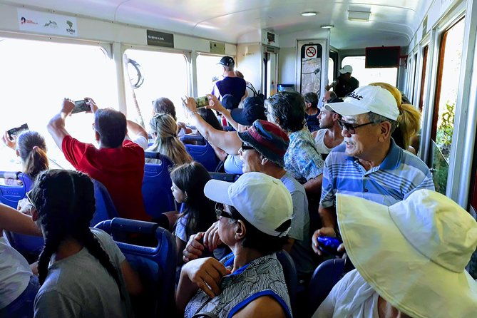 private-tour-rio-experience-christ-the-redeemer-sugar-loaf-and-more