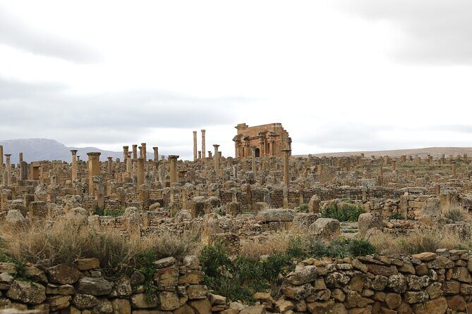 Private Tour Roman Ruins Timgad and Medracen Lunch Included - Final Thoughts
