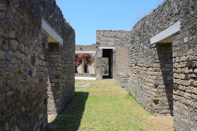 private-tour-rome-to-pompeii-in-private-vehicle-or-fast-train