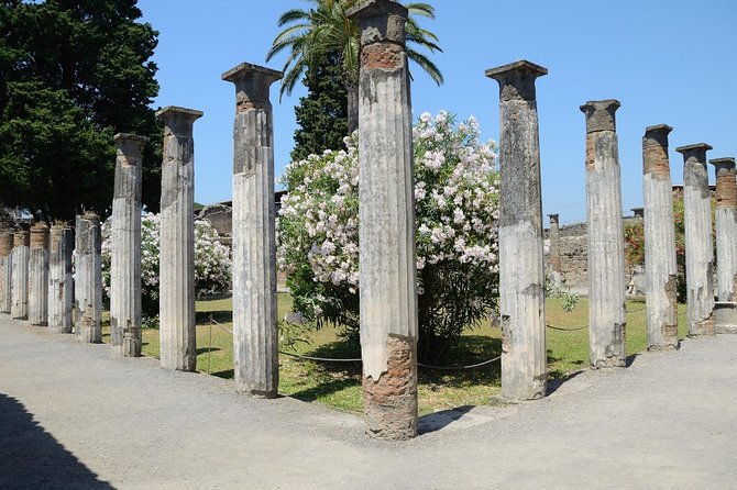private-tour-rome-to-pompeii-in-private-vehicle-or-fast-train
