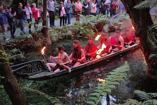 Private Tour: Rotorua Adventure, Kiwi Hatchery & Mori Culture - In-Depth Review of the Rotorua Experience