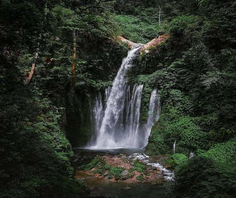 "Private Tour: Sendang Gile, Tiu Kelep Waterfall & Sembalun" - An In-Depth Look at the Tour