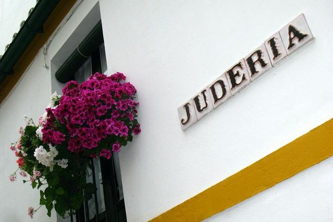 private-tour-seville-city-tour-cathedral-royal-alcazar-and-santa-cruz