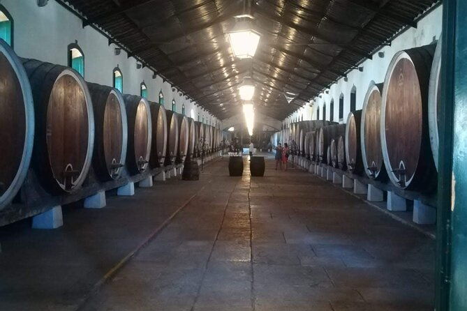 private-tour-sintra-with-wine-tastings