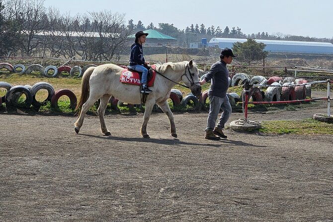 private-tour-south-and-west-jeju-island-with-experienced-driver-2