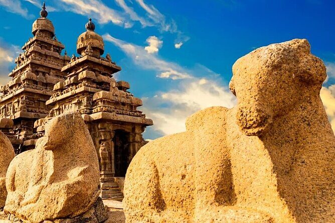 Private Tour South India and Goa for 27 Days - Key Points