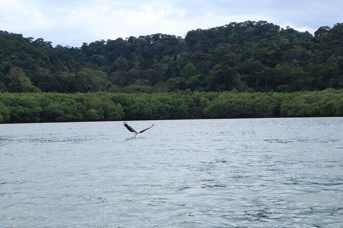 Private Tour: Southern Island Geopark Tour from Langkawi - Final Thoughts  